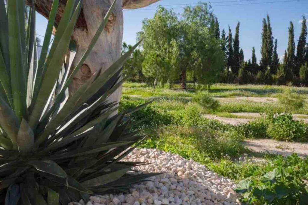 Villa Fina Murcia Kültér fotó