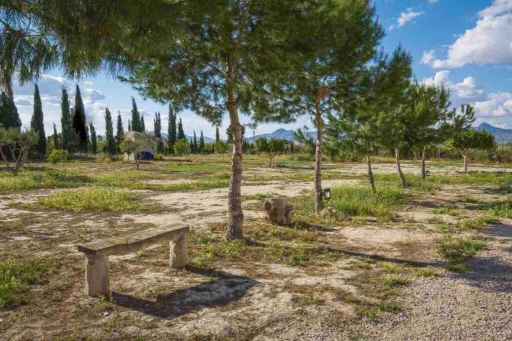 Villa Fina Murcia Kültér fotó